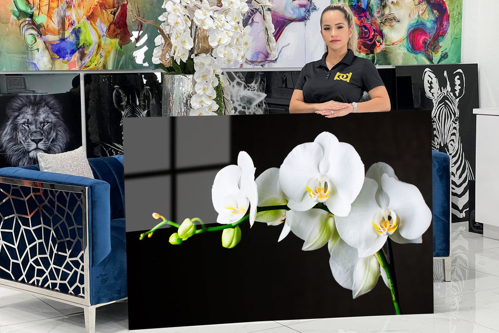 Decorative acrylic design with an elegant white orchid.